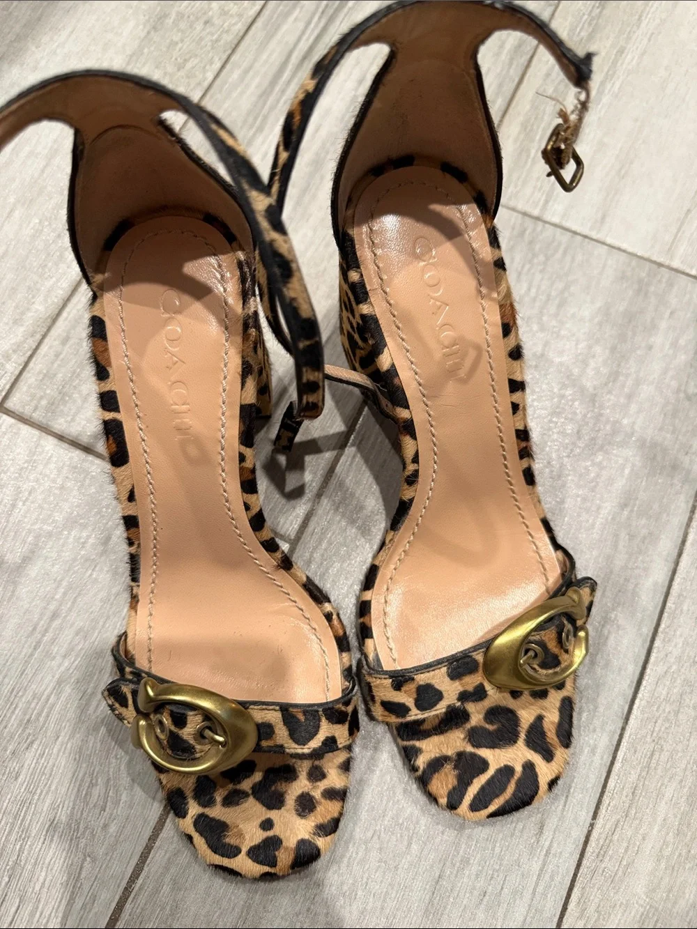 Coach stylish slingback